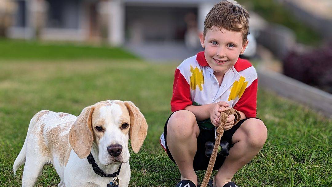 Sunshine Coast Council pet awareness week