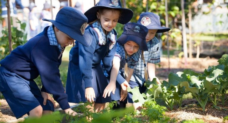 students at Caloundra City Private School