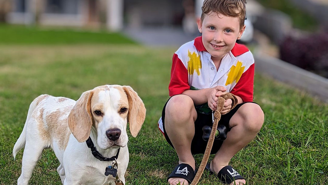 Sunshine Coast Council responsible pet ownership program
